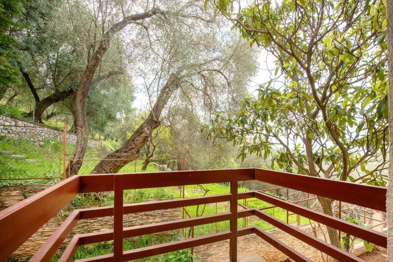 Villa Milana Budva Eksteriør bilde